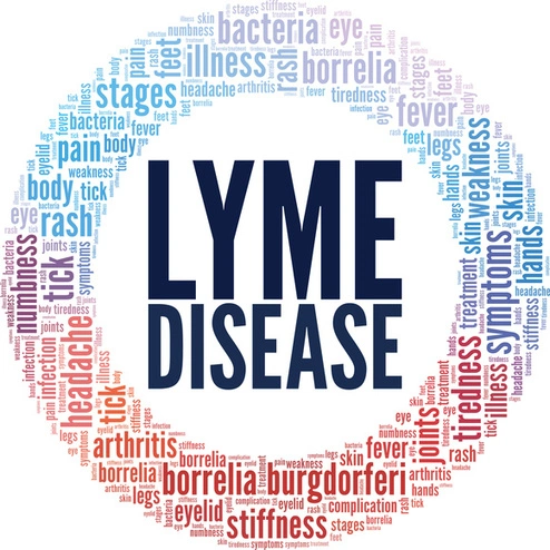 Lyme Disease