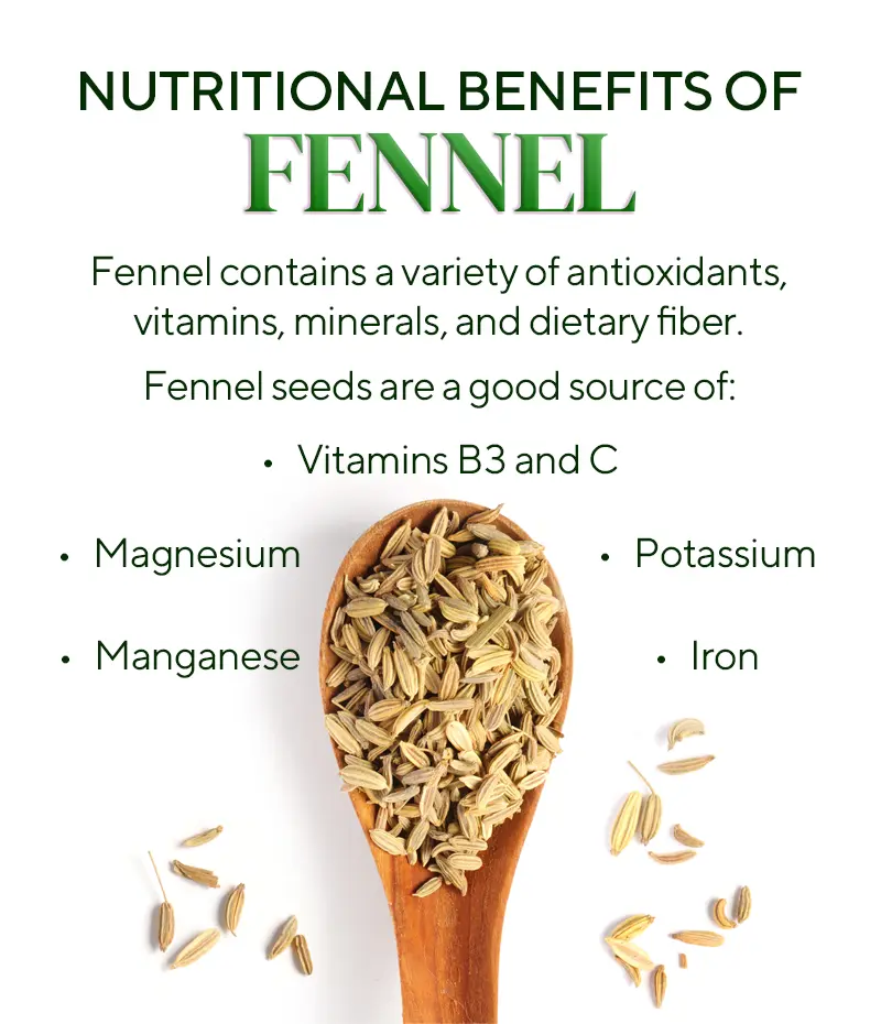 image showing the nutrional benefits of fennel seeds.