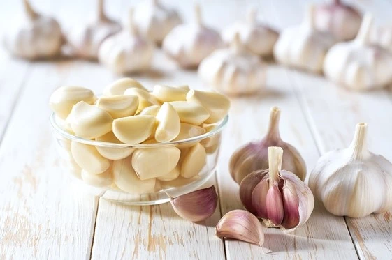 Garlic