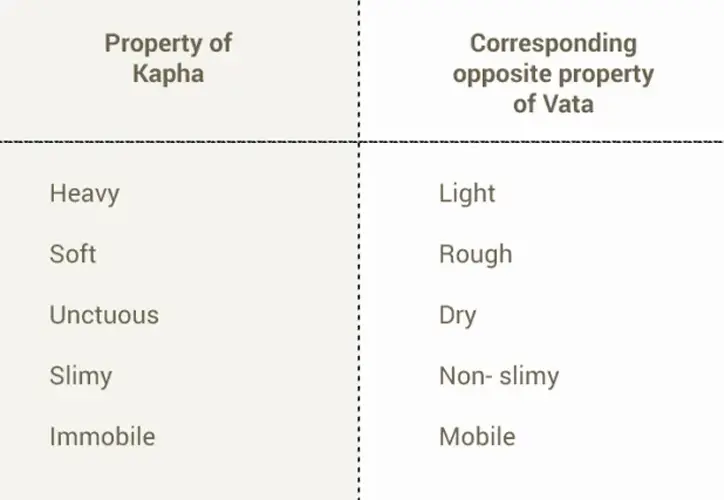 kapha vata properties