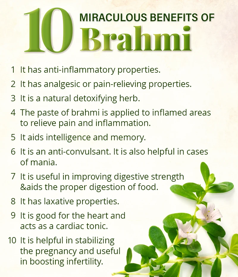 10 benefits of brahmi herb 