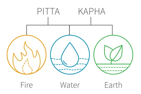 Kapha-Pitta Dosha constituents