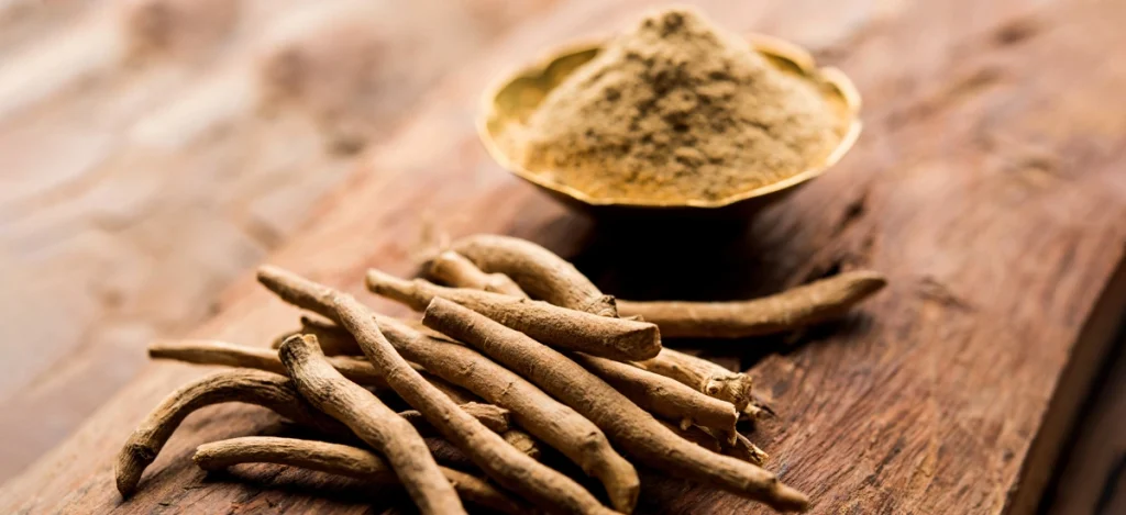 Ashwagandha in stem and powder form