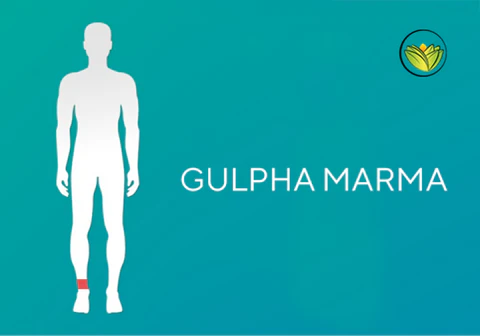 gulpha-marma-points-of-the-feet
