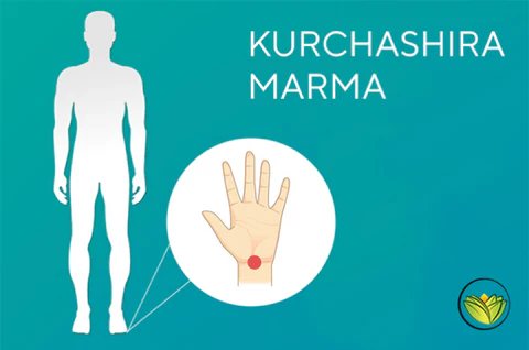 kurchashira-marma-points-of-the-feet-corrected