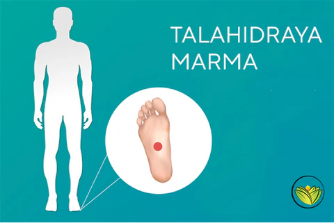 talahidraya-marma-points-of-the-feet
