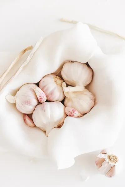image of garlic