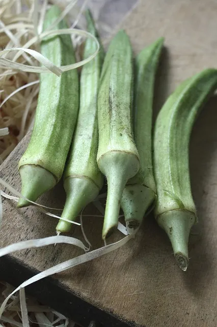 Okra benefits in constipation
