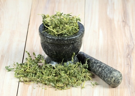 Curative herb Tribulus terrestris and its seeds called devil´s thorn