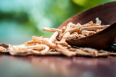 Ayurvedic herb shatavari for women reproductive health