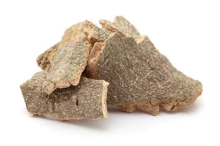 varuna bark for kidney disorders