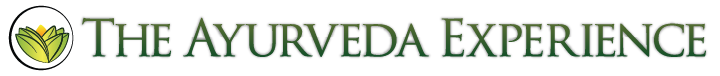 The Ayurveda Experience Logo