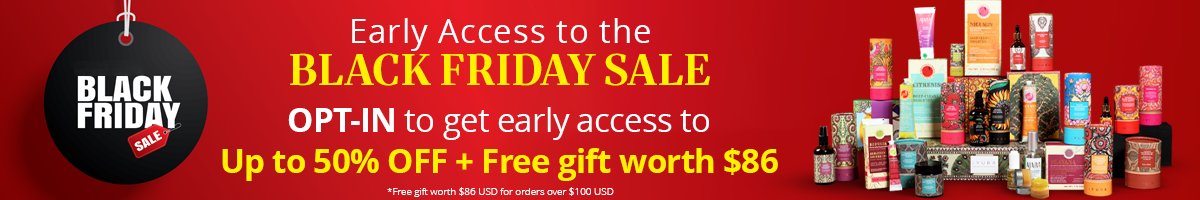 Black Friday 2025 Sale